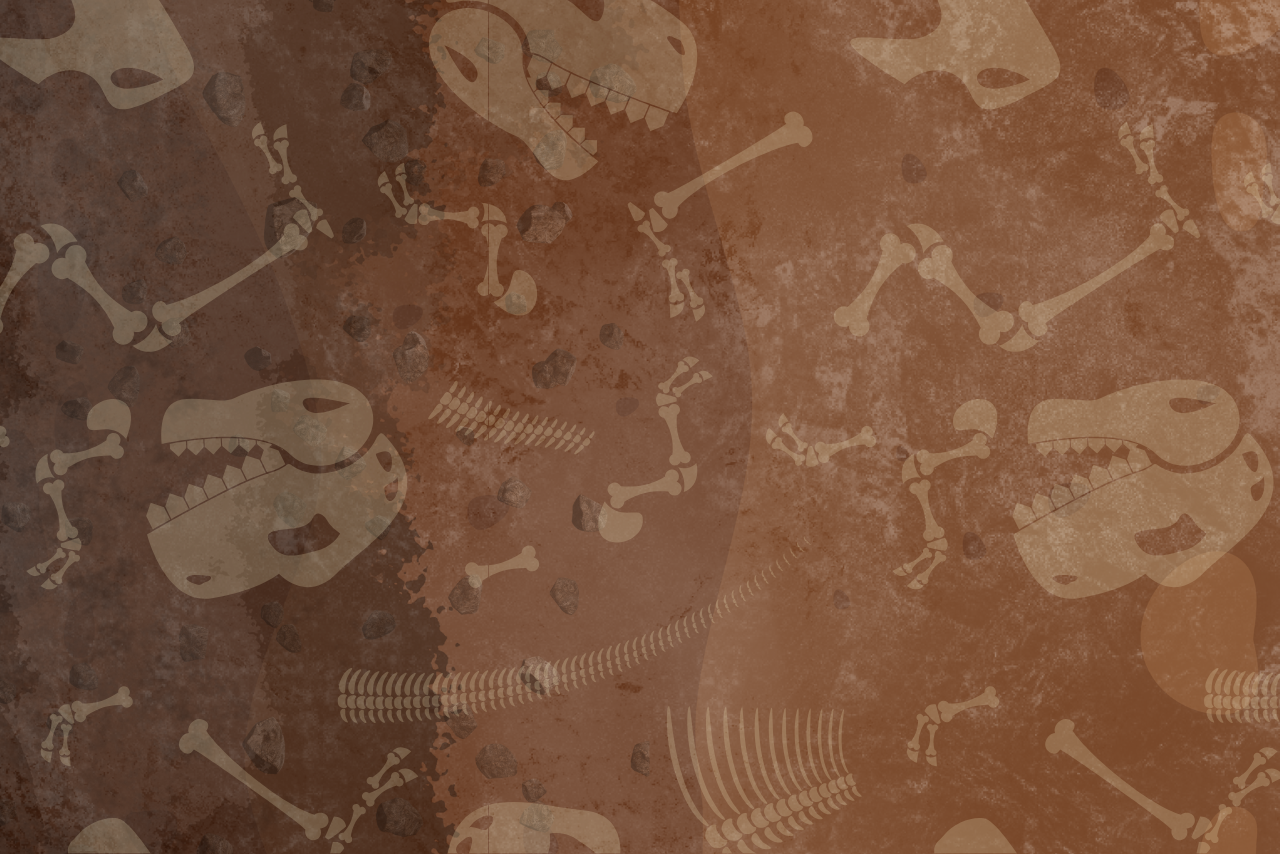 A dirt layer with dinosaur skeletons